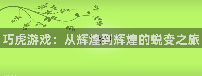 银河官网主营业务：巧虎游戏：从辉煌到辉煌的蜕变之旅