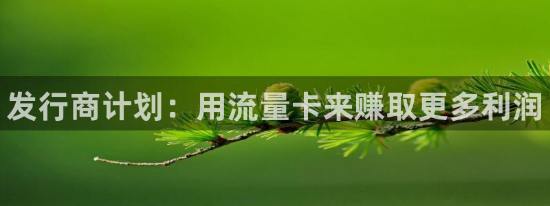 银河(galaxy)主管