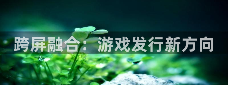 银河官网登录注册账号是什么