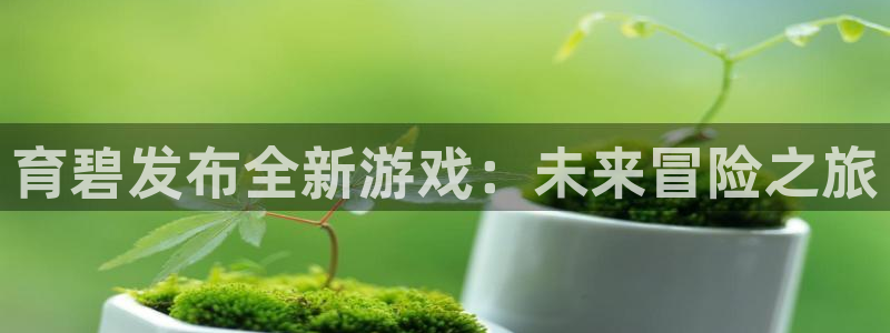 银河官网登录注册不了账号